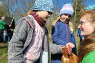 Kindern streicheln ein Huhn, welches eine Frau in der Hand hält.