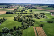 Grünland und Felder, dazwischen Bach mit Uferböschungen © Florian Trykowski